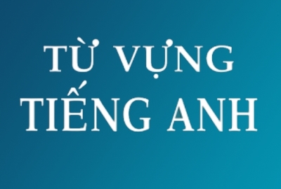 Unit 11: Verbs and the words they combine with (Cụm động từ)