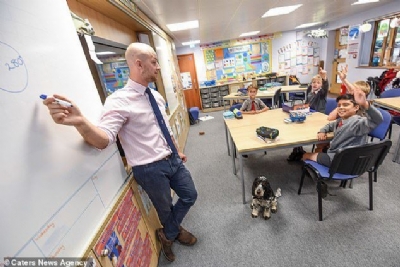 Chú chó thông minh giúp thầy giáo khiếm thính tự tin đứng trên bục giảng tại Anh